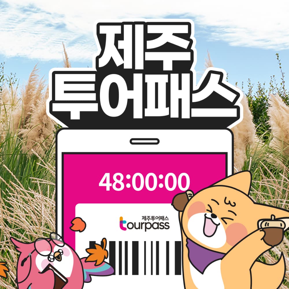 제주 투어패스 이용권