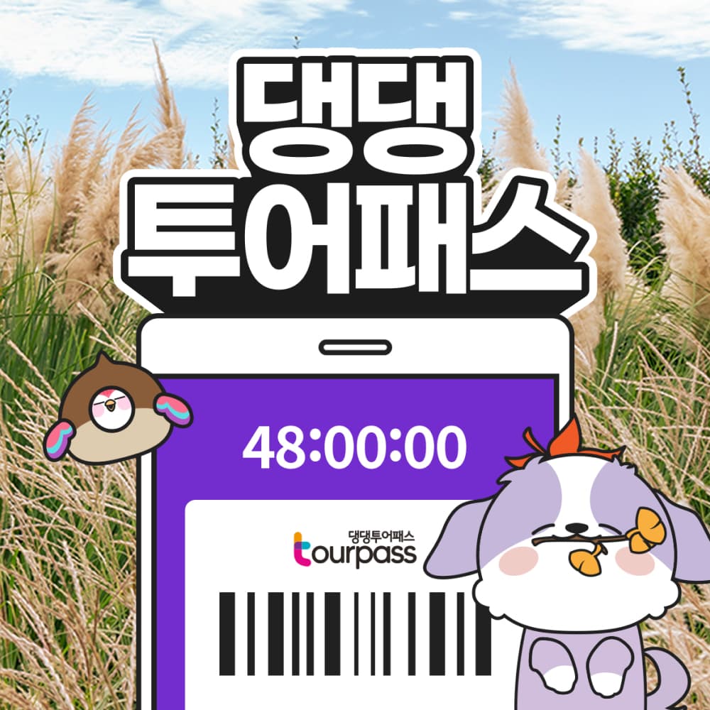 댕댕 투어패스 이용권